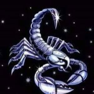 Meet your Posher, Dion